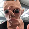 _liinee_0