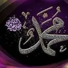 hassanalshammari63