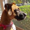 stellabean08