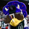 gatorfan5280