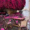 ahlam588_