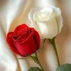 barbarafarina8
