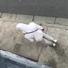 j_akuma