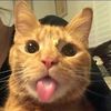 abcdefahim_15