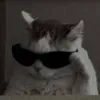 platki.potem.mleko0001