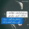 najm517