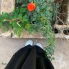 ❤️🥀 __H__09🥀❤️