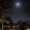 saud_7273