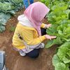 atika_arsy