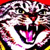 sturlson3nvy