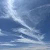 lty02250