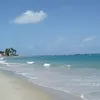 ro_pia