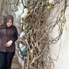 putriraisah_