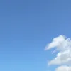 aaat_446