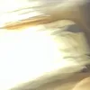 user30iemz2e6u