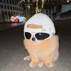 feizzyrl