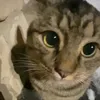 its.hartr