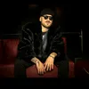 terroneofficial