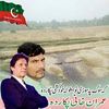 kashifahmad033
