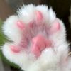 kitsune_101
