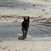 rodgerttt