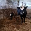 massey_man14