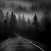light_way.3