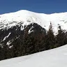 dedekdemenko