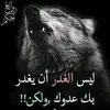 userqq36rd99m0