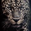 ahmad___2488