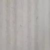 larisilva888