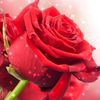 xcxyou1