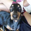 maiteesosa1