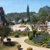 naplanvuong