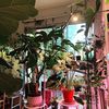 plants_001
