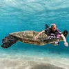 pepitocabanilla