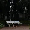ha_pham3107