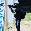arc_parrot_55
