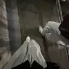 userdujgglpuyn