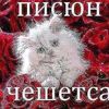 kirill228_0