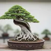 donguyenngoc5