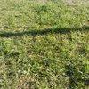 user1196161465397