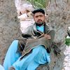 zafaralizafarjokh