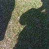 qsfy_i