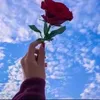 11_pk_xh