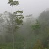 cakrawatiutara