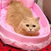 olivexoxoheart