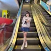 cuc_hoa_mi22