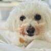 charliegirl167
