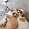 cocoandnova